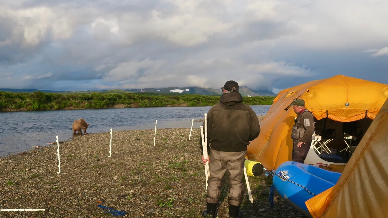 Remote camp gathering tent near a river with a brown bear visible along the shoreline