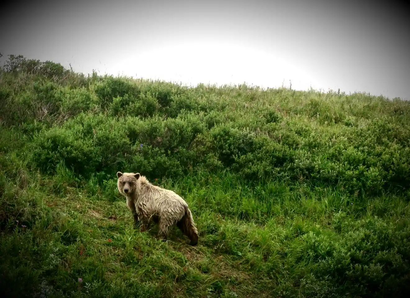 Eating well on a remote Alaska gravel bar float trip in South West Alaska