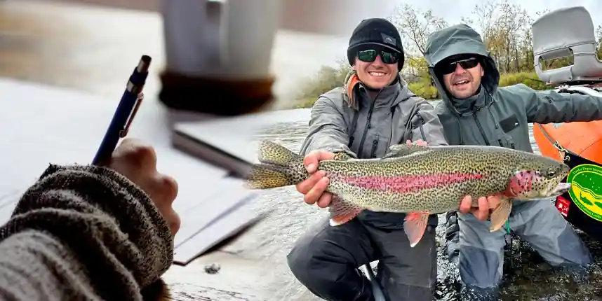 comments-from-guests