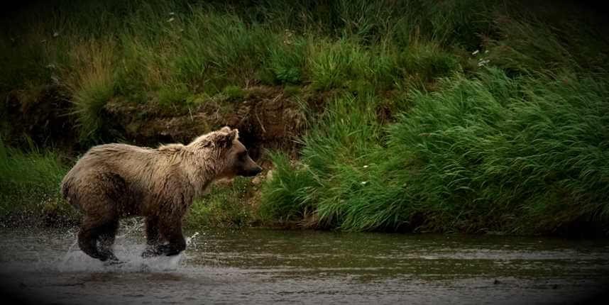 Deluxe Alaska Float Fishing Trips