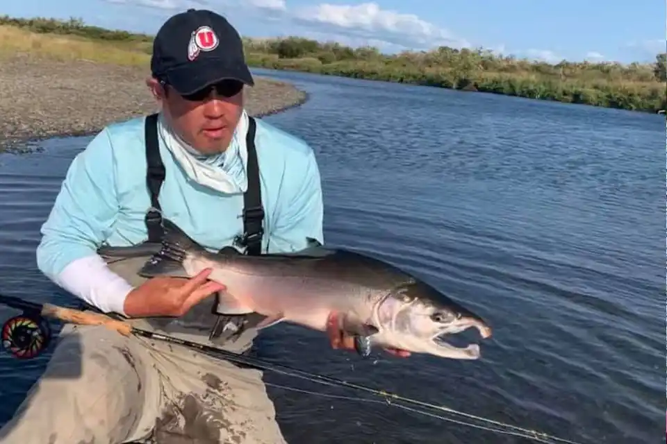 Fly Fishing for Coho aka Silver Salmon on Alaska's Kanektok River