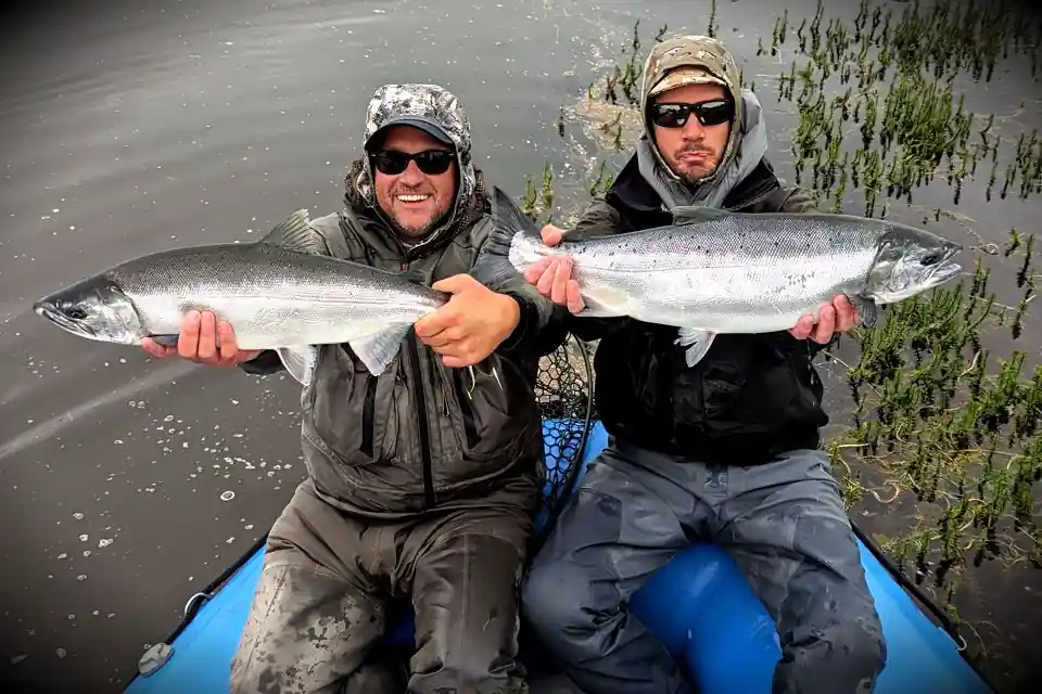 pair-of-coho-and-happy-anglers-arolik-river-alaska