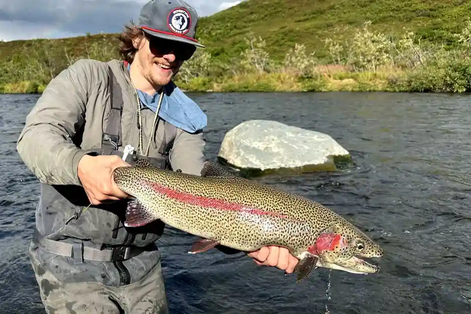 Kanektok River rainbow trout