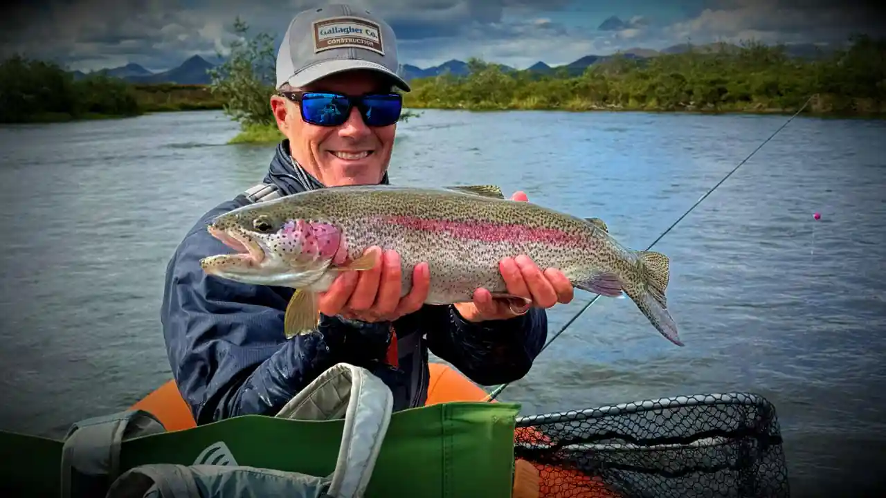 Large rainbow trout caught on the Kanektok River Alaska fly fishing trip
