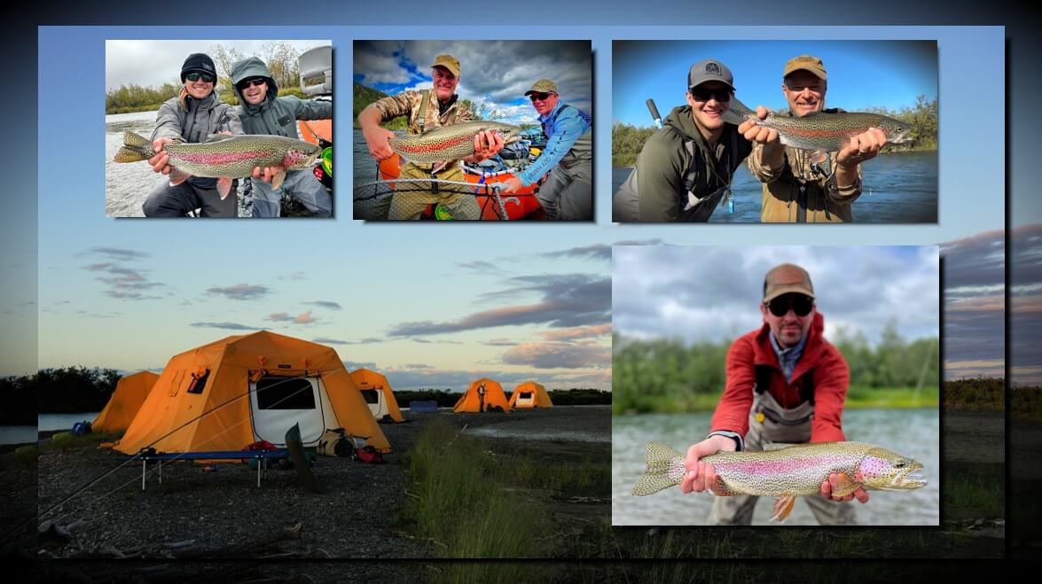 Leopard Rainbow Trout